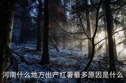 河南什么地方出產紅薯最多原因是什么