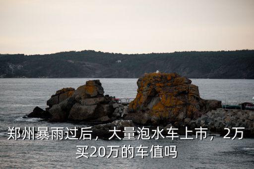 鄭州暴雨怎么保護車,河南鄭州暴雨后