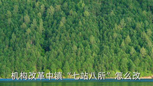 機(jī)構(gòu)改革中鎮(zhèn)“七站八所”怎么改