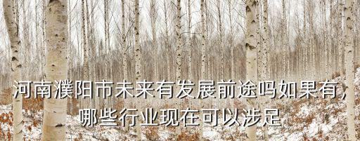 河南濮陽市未來有發展前途嗎如果有，哪些行業現在可以涉足