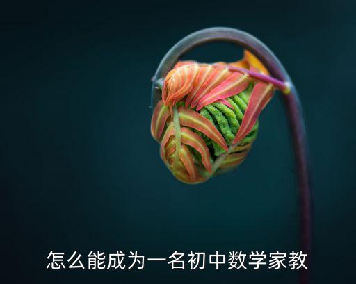 周口初中數學家教怎么樣,初中數學需要補課嗎