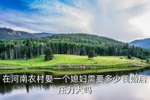 在河南農村娶一個媳婦需要多少錢婚后壓力大嗎