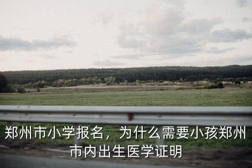 鄭州市小學報名，為什么需要小孩鄭州市內出生醫學證明