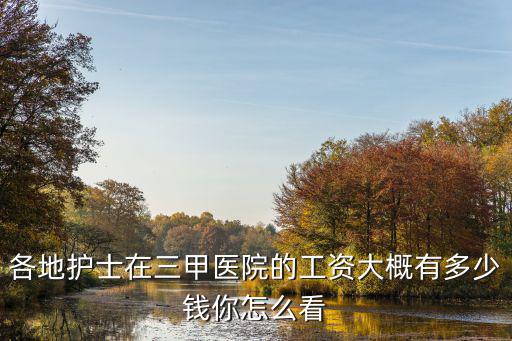 各地護士在三甲醫(yī)院的工資大概有多少錢你怎么看
