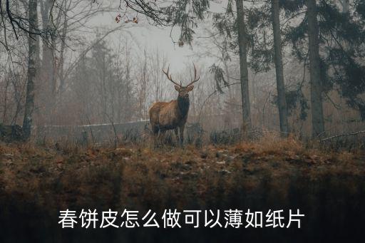 河南薄饃皮怎么做,春餅皮怎么做可以薄如紙片