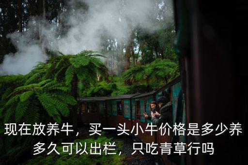 現(xiàn)在放養(yǎng)牛，買(mǎi)一頭小牛價(jià)格是多少養(yǎng)多久可以出欄，只吃青草行嗎