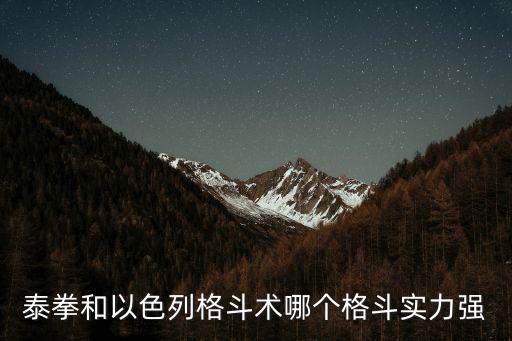 洛陽以色列格斗哪里有,散打跟以色列格斗術哪個牛逼
