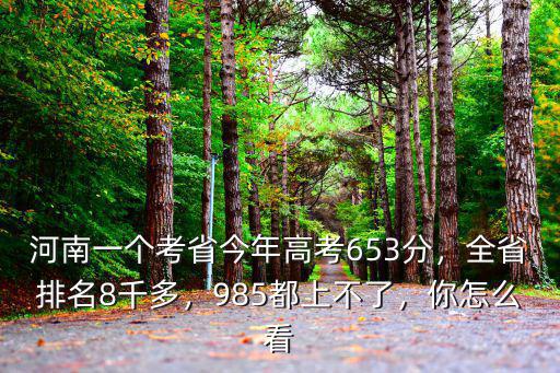 河南省高考分數排名多少,河南省排名6500