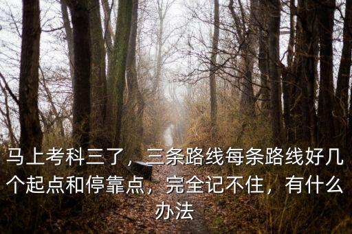 安陽路達科目三記不住路線怎么辦,科目三記不住路線怎么辦