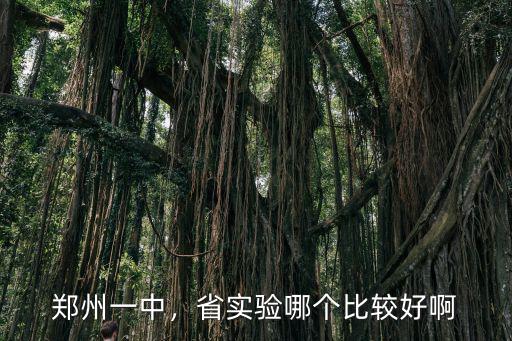 鄭州一中，省實(shí)驗(yàn)?zāi)膫€(gè)比較好啊