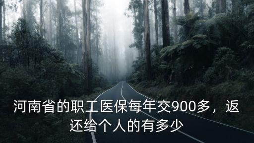 河南省的職工醫保每年交900多，返還給個人的有多少