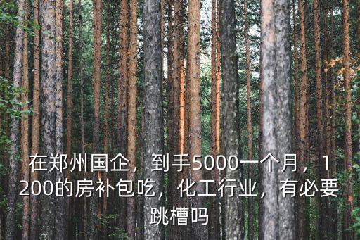 在鄭州國企，到手5000一個月，1200的房補包吃，化工行業，有必要跳槽嗎