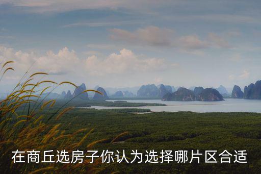 在商丘選房子你認為選擇哪片區合適