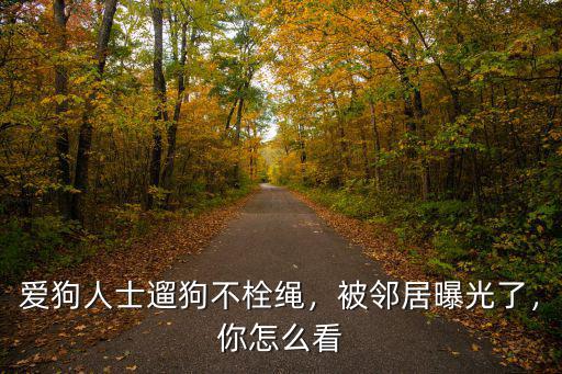 愛狗人士遛狗不栓繩，被鄰居曝光了，你怎么看