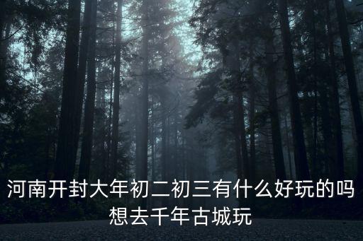河南開(kāi)封大年初二初三有什么好玩的嗎想去千年古城玩