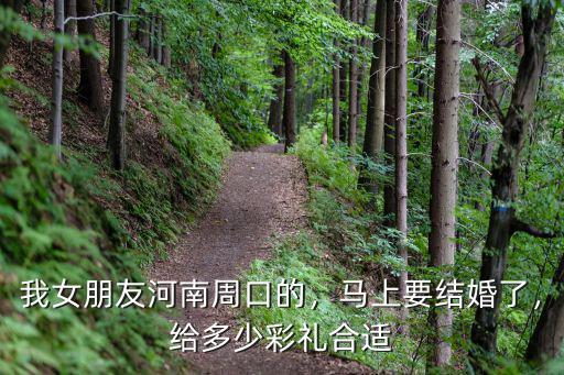 我女朋友河南周口的，馬上要結(jié)婚了，給多少彩禮合適
