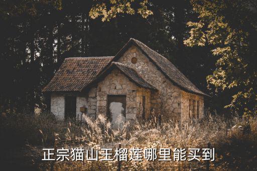 開封哪里可以買到榴蓮,哪里能買到物美價廉的榴蓮