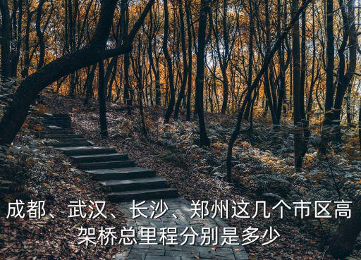 成都、武漢、長沙、鄭州這幾個市區高架橋總里程分別是多少