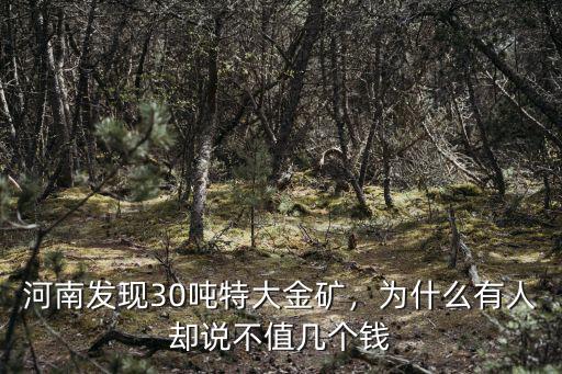 河南發(fā)現(xiàn)金礦怎么提煉特大型金礦,河南發(fā)現(xiàn)特大型金礦
