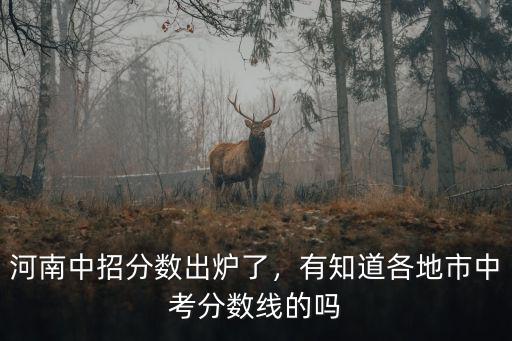 河南中招分數出爐了，有知道各地市中考分數線的嗎