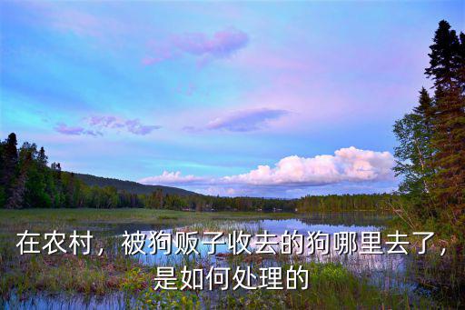 焦作哪里有收狗了,焦作哪里可以領養狗狗