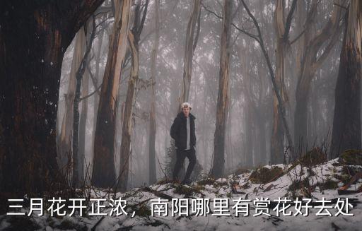 南陽方城縣月季在哪里,南陽哪里有賞花好去處