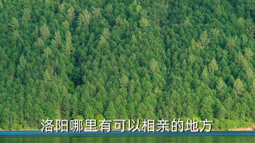 洛陽哪里有可以相親的地方