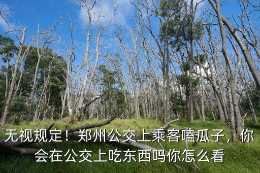 無視規定！鄭州公交上乘客嗑瓜子，你會在公交上吃東西嗎你怎么看