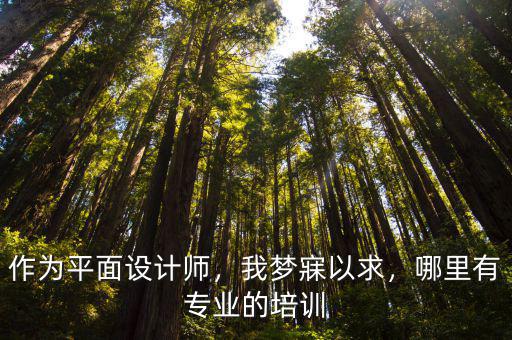 作為平面設計師，我夢寐以求，哪里有專業的培訓