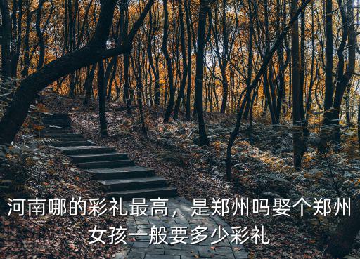 河南給女方彩禮多少,河南哪的彩禮最高