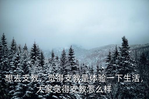 想去支教，覺得支教是體驗一下生活，大家覺得支教怎么樣