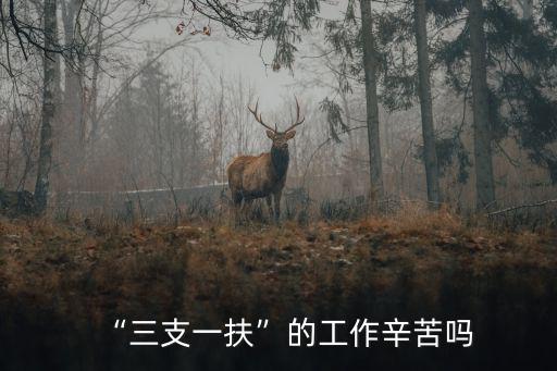 信陽(yáng)市三支一扶待遇怎么樣,三支一扶的工作辛苦嗎