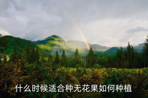 什么時候適合種無花果如何種植