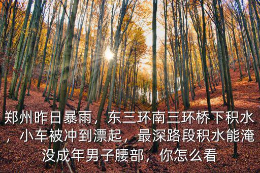 鄭州昨日暴雨，東三環(huán)南三環(huán)橋下積水，小車被沖到漂起，最深路段積水能淹沒成年男子腰部，你怎么看