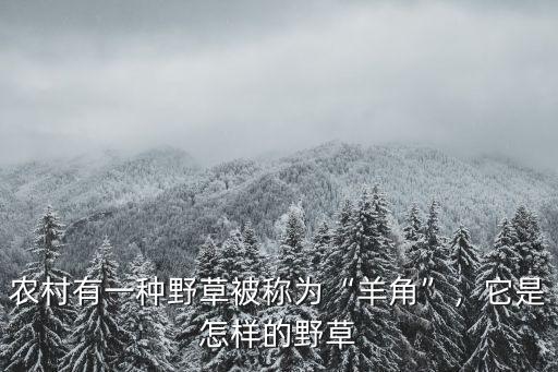 河南有多少種野草,大家能說出多少種