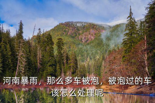 河南的泡水車流向哪里了,泡水車最終流向了哪些渠道