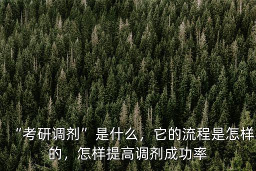 “考研調劑”是什么，它的流程是怎樣的，怎樣提高調劑成功率