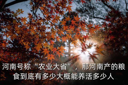 河南農(nóng)行多少人,那河南產(chǎn)的糧食到底有多少