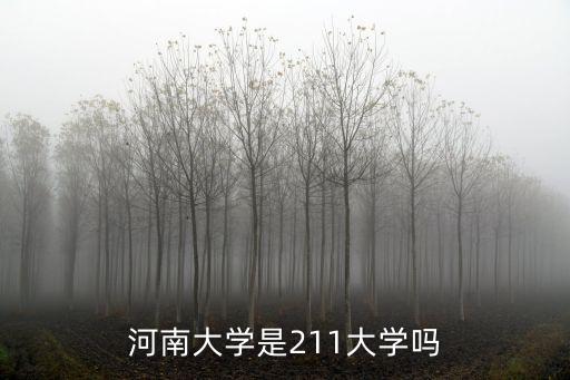河南大學是211大學嗎