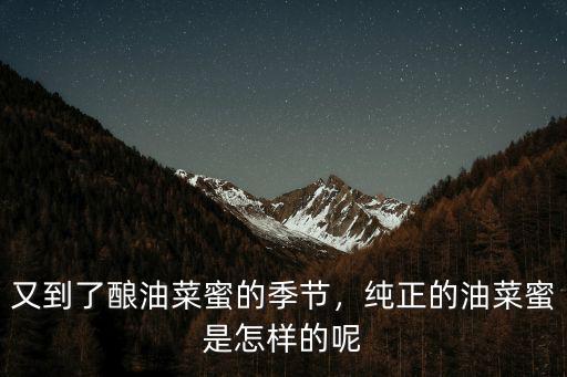 又到了釀油菜蜜的季節，純正的油菜蜜是怎樣的呢