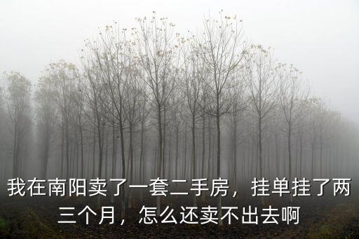 我在南陽賣了一套二手房，掛單掛了兩三個月，怎么還賣不出去啊
