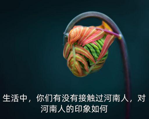 生活中，你們有沒有接觸過河南人，對河南人的印象如何