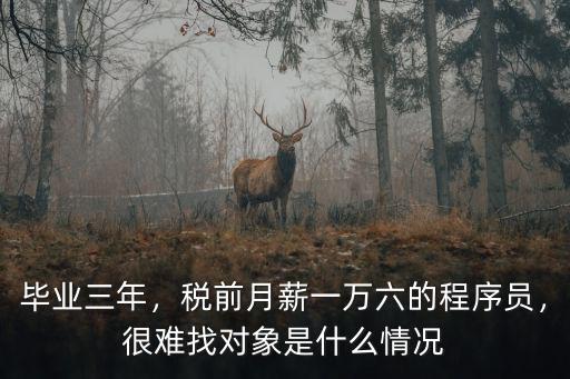 畢業三年，稅前月薪一萬六的程序員，很難找對象是什么情況