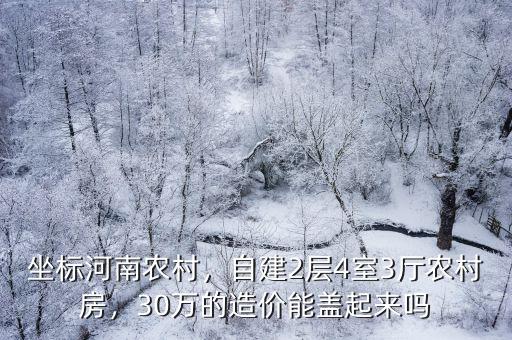 坐標河南農村，自建2層4室3廳農村房，30萬的造價能蓋起來嗎