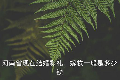 河南省現(xiàn)在結(jié)婚彩禮、嫁妝一般是多少錢