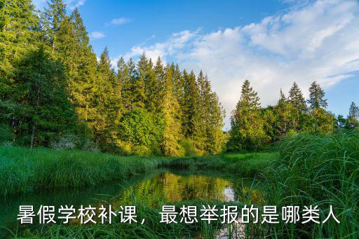 河南開封暑假學校補課怎么舉報,暑假學校補課