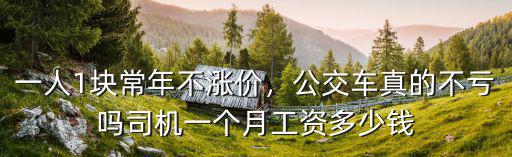 一人1塊常年不漲價，公交車真的不虧嗎司機一個月工資多少錢