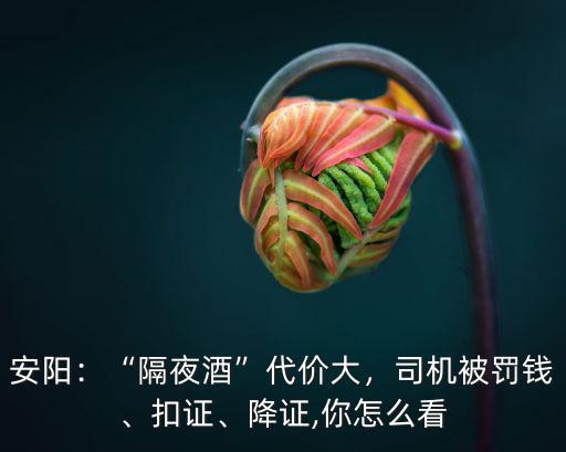 安陽：“隔夜酒”代價大，司機被罰錢、扣證、降證,你怎么看