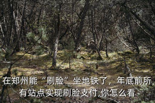 在鄭州能“刷臉”坐地鐵了，年底前所有站點實現刷臉支付,你怎么看