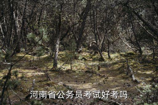 河南公務員考試報錄比怎么查,河南省公務員考試好考嗎